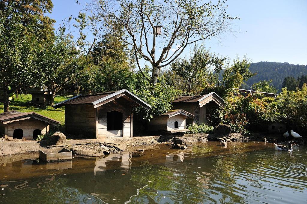 Bodenhof Ferienwohnungen 피버브룬 외부 사진